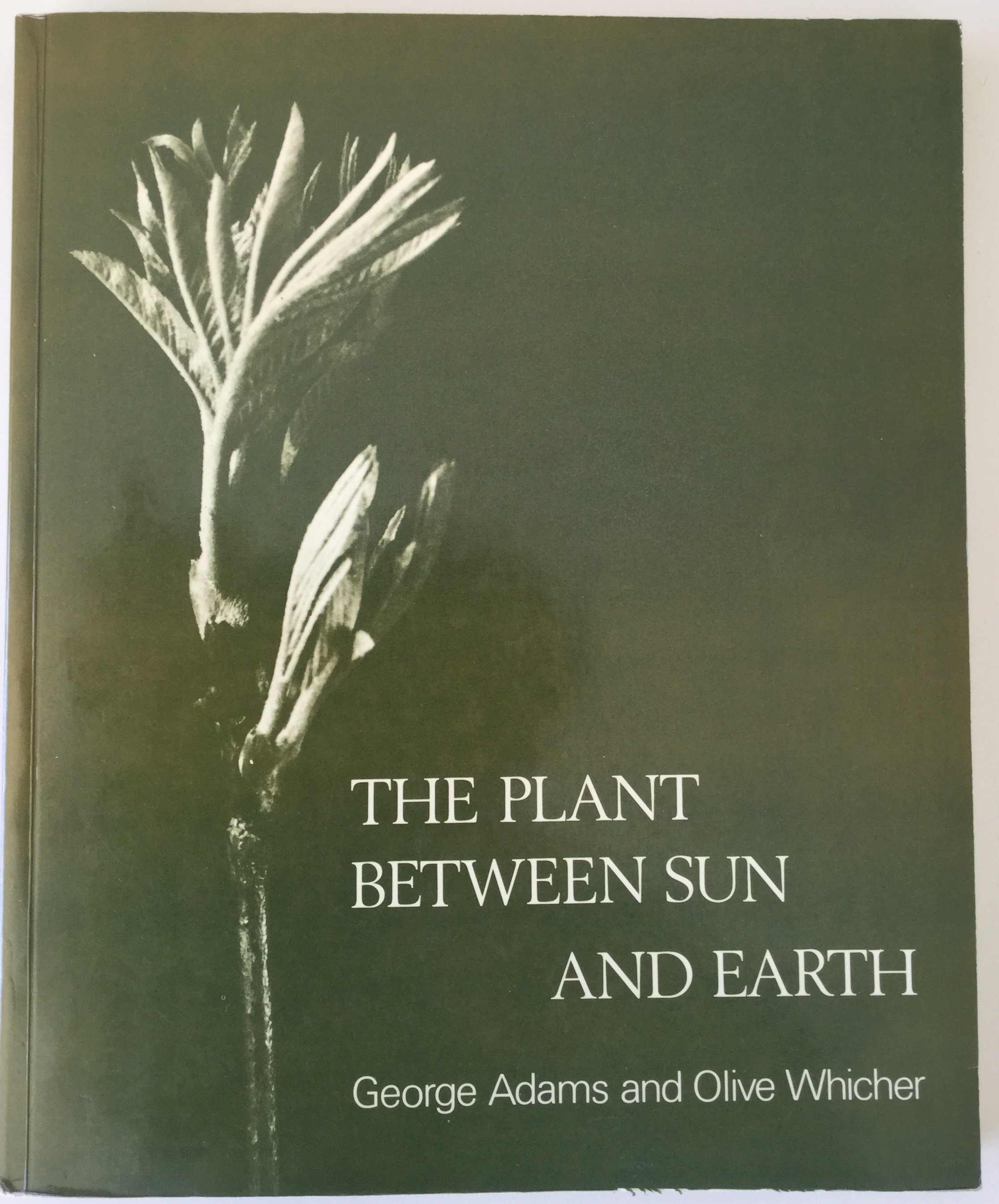 Image for The Plant Between Sun and Earth: and the Science Physical and Ethereal Spaces